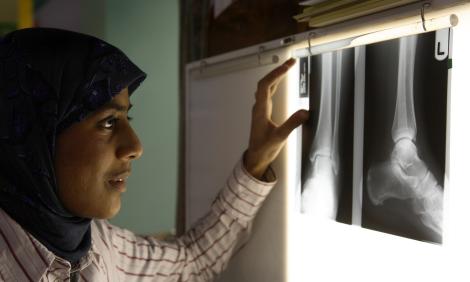 doctor with xray doctor with xray