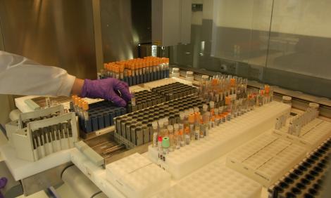 healthcare-science-test-tubes