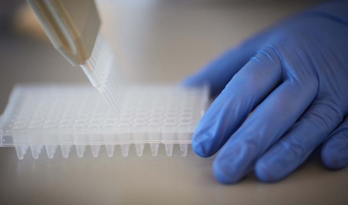 Hands with lab equipment Hands with lab equipment