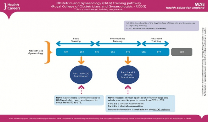 Obstetrics and gynaecology training pathway Obstetrics and gynaecology training pathway