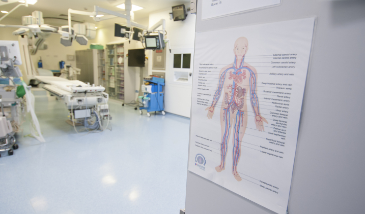 Steps To Becoming An Ent | Rusm