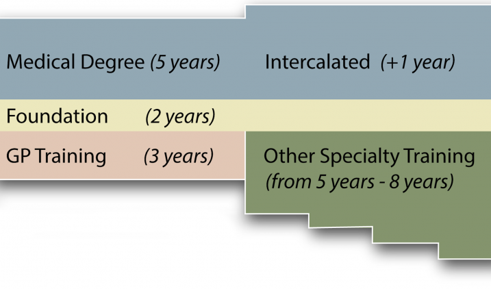 medical training time-line